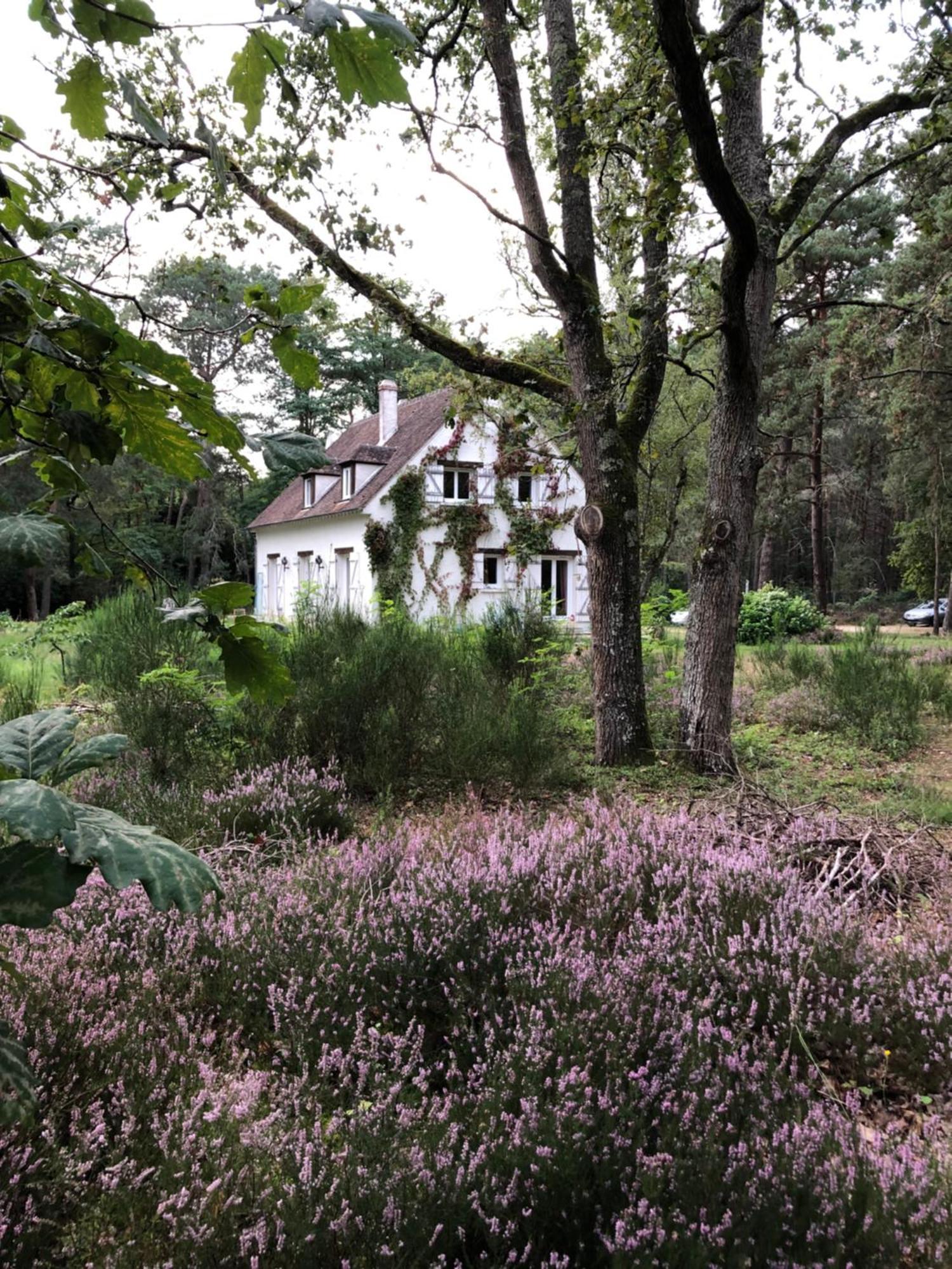 Chambres Au Coeur Du Massif Des Trois Pignons Noisy-sur-Ecole Экстерьер фото